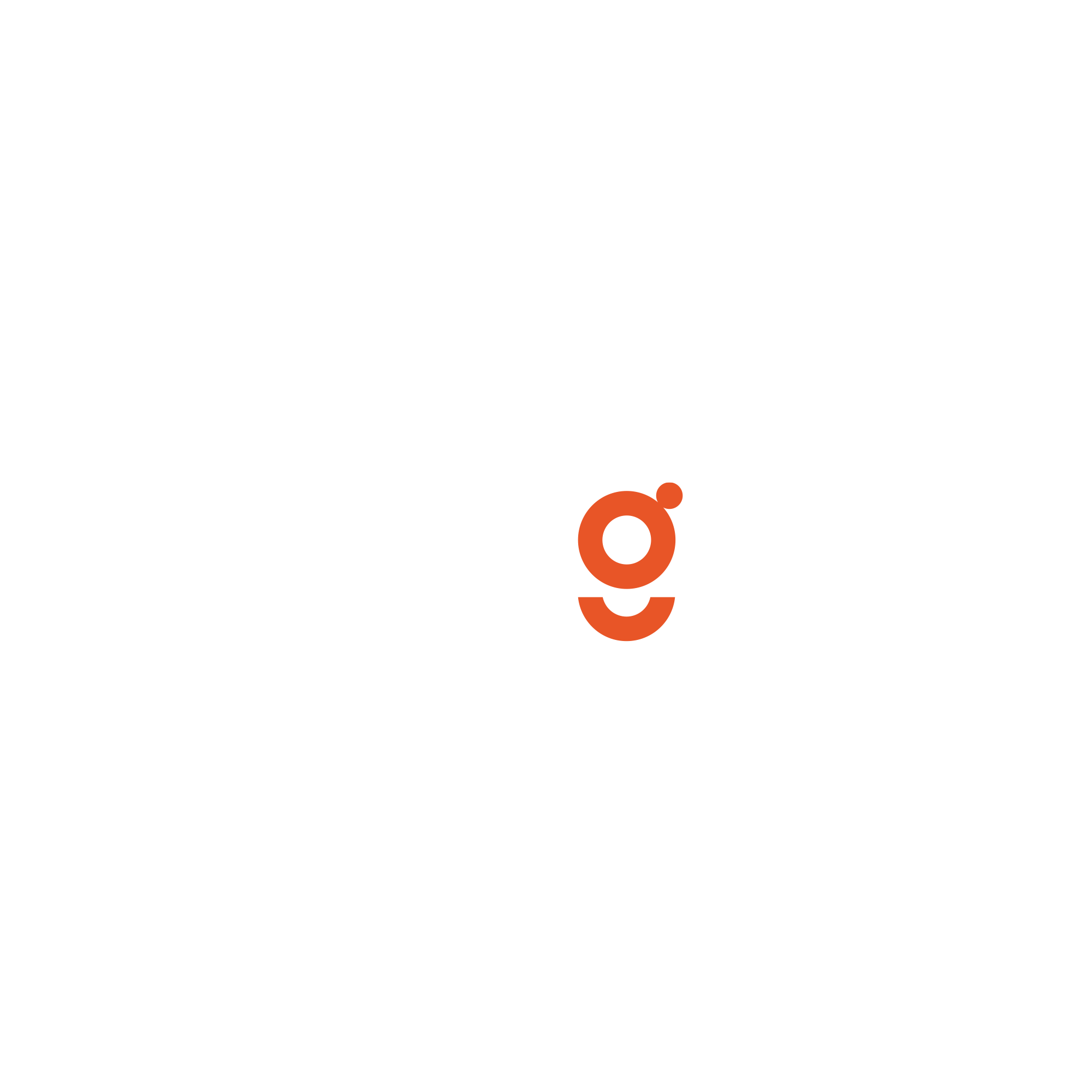Octagon Africa Logo